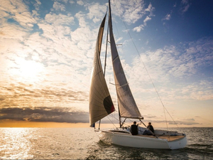 Découvrez le nouveau Domani S30 Club !