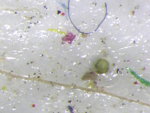 Un morceau de banquise gavé de microplastiques