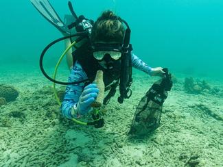 Le « clean walk » et « clean up dive » deux...