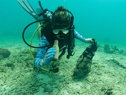  L'association Project Aware organise des interventions de clean up dive nommées « Dive Against Debris ». Plus d'un million de déchets ont déjà été ramassés.