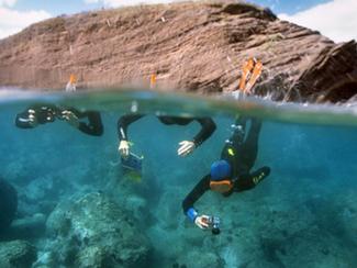 Le sentier sous-marin : une randonnée en mer !
