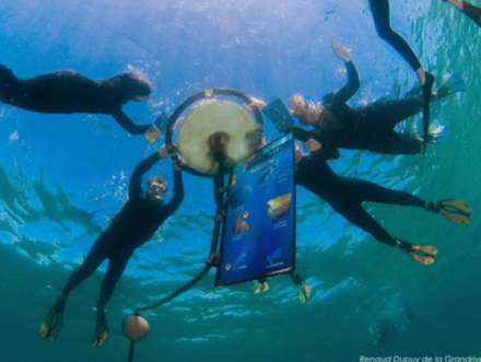 La plongée est libre pour découvrir le sentier sous-marin du Cap d'Agde, vous n'avez qu'à suivre les panneaux d'information et le balisage en mer. 
