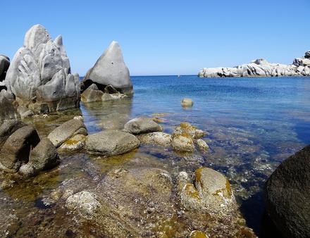 Le sentier sous-marin des îles Lavezzi est probablement le plus connu de Corse. Nautisme Article