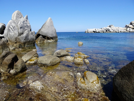Le sentier sous-marin des îles Lavezzi est probablement le plus connu de Corse. Le sentier sous-marin des îles Lavezzi est probablement le plus connu de Corse.