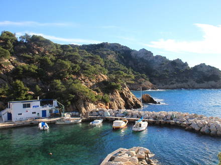 En plus de la balade aquatique, une présentation du Parc Marin de la Côte Bleue sera effectuée avec une introduction à la faune et la flore du lieu. 