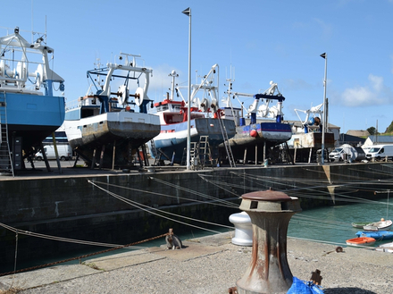 Bateaux de pêche... et amarrage original des annexes.