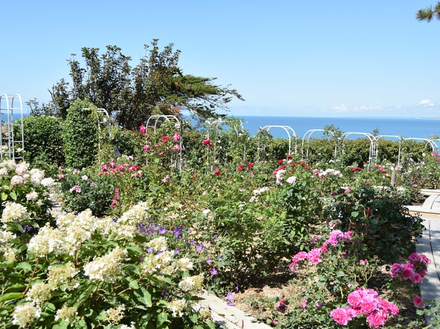 Le jardin Christian Dior.