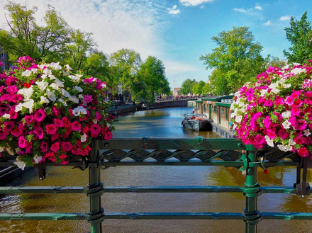 Outre ses maisons multicolores et ses nombreux cafés, l'un des charmes de la capitale néerlandaise est la toile d'araignée que ses canaux constituent.