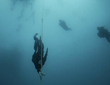 L'étape la plus attendue est l'immersion libre, celle-ci consiste à effectuer une apnée sans palmes et sans ceinture de plombs, en s'aidant du filin guide à la descente comme à la remontée. Nautisme Article