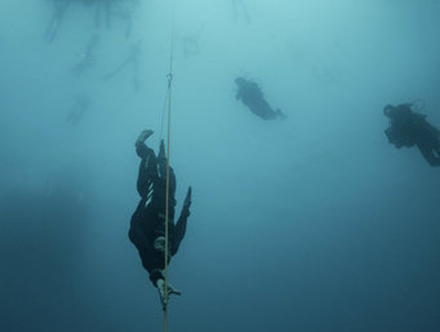 L'étape la plus attendue est l'immersion libre, celle-ci consiste à effectuer une apnée sans palmes et sans ceinture de plombs, en s'aidant du filin guide à la descente comme à la remontée. Nautisme Article