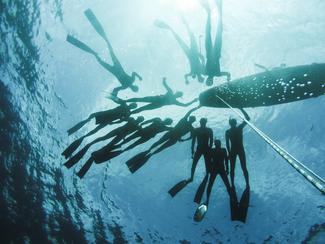 Le championnat du monde d'apnée débute...