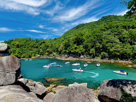 Idée de mouillage au Brésil ? Saco do Mamangua. Ce fjord brésilien, inaccessible par la route, est resté sauvage, bordé d'une mangrove et encadré d'une forêt primaire.