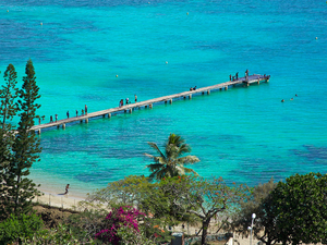 La Nouvelle-Calédonie en quête d'une stratégie pour réduire le « risque requin »
