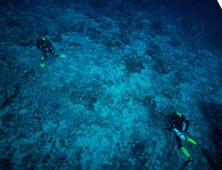 L'équipe Under the Pole a également lancé ce projet afin de faire face aux défis écologiques et sociétaux modernes grâce à une meilleure compréhension de la biodiversité marine. Nautisme Article