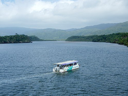 Afin de profiter des paysages extraordinaires que le fleuve a à vous offrir, il vous est possible de longer l'imposant cours d'eau à bord d'un bateau installé à cet effet.