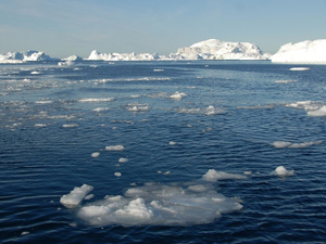 Sauver les océans pour sauver l'Humanité : le constat glaçant du Giec