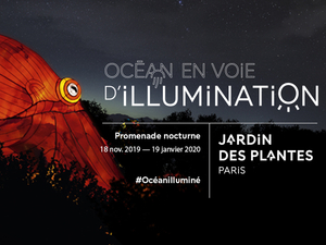 Le monde sous-marin illuminé au Jardin des Plantes de Paris
