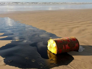 Brésil : une centaine de plages paradisiaques polluées