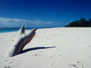 L'île de la Grande Glorieuse dans l'océan indien classée en réserve naturelle dès 2020
