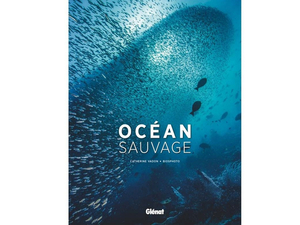 Instant lecture : les plus belles images au coeur de l'océan