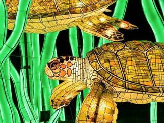 Océan en voie d'illumination : des créatures...