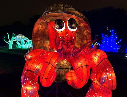 Le Jardin des Plante est illuminé et recouvert par des lanternes chinoises représentant des animaux marins. Nautisme Article