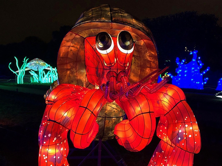 Le Jardin des Plante est illuminé et recouvert par des lanternes chinoises représentant des animaux marins. Nautisme Article