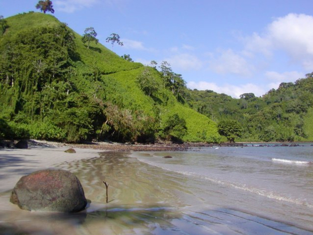 Parc National Isla del Coco, Chatham Beach Nautisme Article