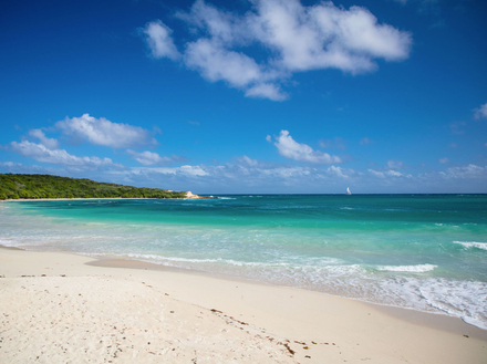 Prenez le temps d'explorer les fonds marins de l'archipel et découvrir de nombreuses épaves de bateaux, des coraux bien conservés, des récifs poissonneux et des tombants impressionnants. 