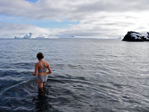 En Antarctique, les touristes en maillot de bain dans le jardin des manchots