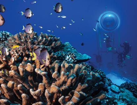 La capsule est placée à 20 mètres de profondeur le long d'un récif de corail en Polynésie Française. Nautisme Article