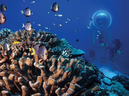 La capsule est placée à 20 mètres de profondeur le long d'un récif de corail en Polynésie Française. La capsule est placée à 20 mètres de profondeur le long d'un récif de corail en Polynésie Française.