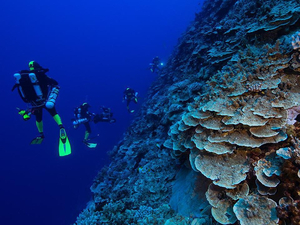 L'expédition Under The Pole III à découvrir sur le petit écran aujourd'hui et demain