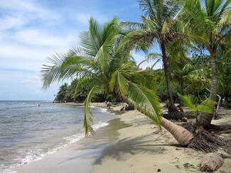 Cap sur les plus belles plages du Costa Rica