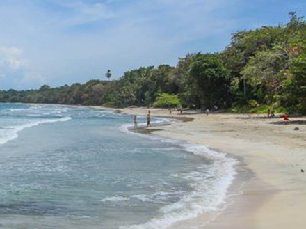 Direction la plage Playa Blanca dans le Parc National de Cahuita. Une plage de 3 km de sable blanc avec de nombreux récifs coralliens.