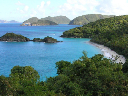Trunk Bay sur l'île de St John est idéal pour le snorkeling avec un parcours sous-marin à la découverte du récif corallien. 