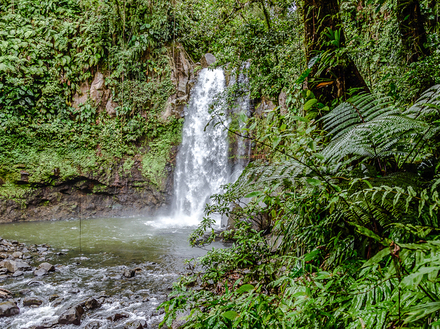  Ne ratez pas les chutes du Carbet en Guadeloupe ! Une oasis au coeur de cette r&eacute;gion montagneuse qu'est Basse-Terre.