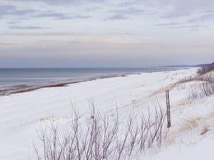 Plages enneigées : les meilleures vidéos de ces dernières années