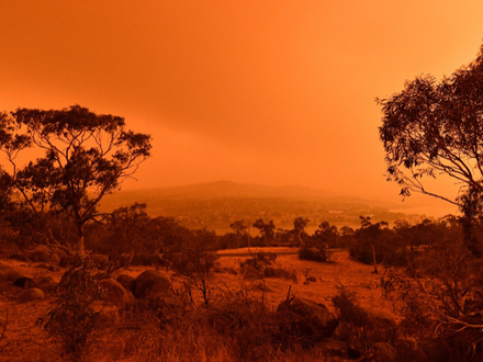 Depuis le mois de septembre, des incendies ont ravagé le paysage australien.