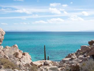 Les eaux fantastiques de la Basse-Californie