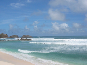 L'île Cousin aux Seychelles : préserver un paradis du tourisme de masse