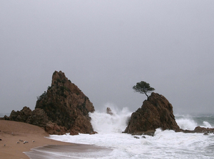 Tempête Gloria : des vents à plus de 65 nœuds !