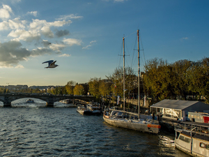 Quand l'Océan s'invite en ville : la goélette Tara à Paris du 29 février au 13 avril 