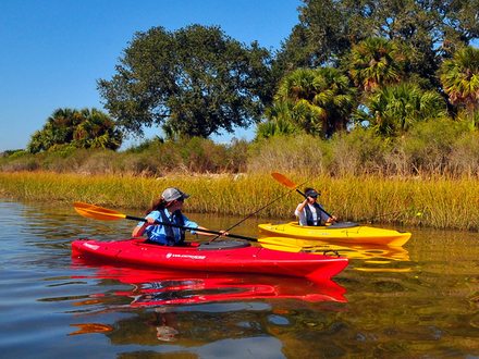 Pour les débutants et les curieux, l'organisation Sea Kayak Fishing vous propose de vous initier à la pêche à la ligne en kayak. Nautisme Article