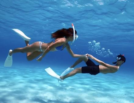 Sur la terre comme sous la mer, découvrez des images à vous couper le souffle... Nautisme Article