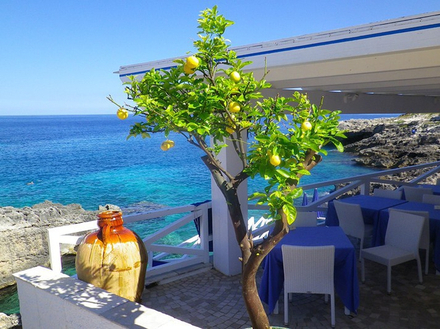 Régalez-vous au restaurant Lo Scalo qui vous propose de gouter à la nourriture typique du sud de l?Italie les pieds dans l?eau.   Régalez-vous au restaurant Lo Scalo qui vous propose de gouter à la nourriture typique du sud de l?Italie les pieds dans l?eau.