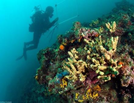 La mission des scientifiques sera de suivre l'évolution de la réserve pendant 6 ans afin d'étudier ses changements et l'extension de sa biodiversité. Nautisme Article