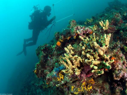 La mission des scientifiques sera de suivre l'évolution de la réserve pendant 6 ans afin d'étudier ses changements et l'extension de sa biodiversité. Nautisme Article