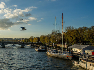 Municipales : Tara Océan appelle les candidats à s'engager contre la pollution plastique