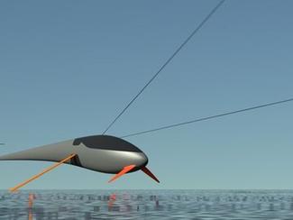 Plus de 80 noeuds à la voile sur l'eau : un...